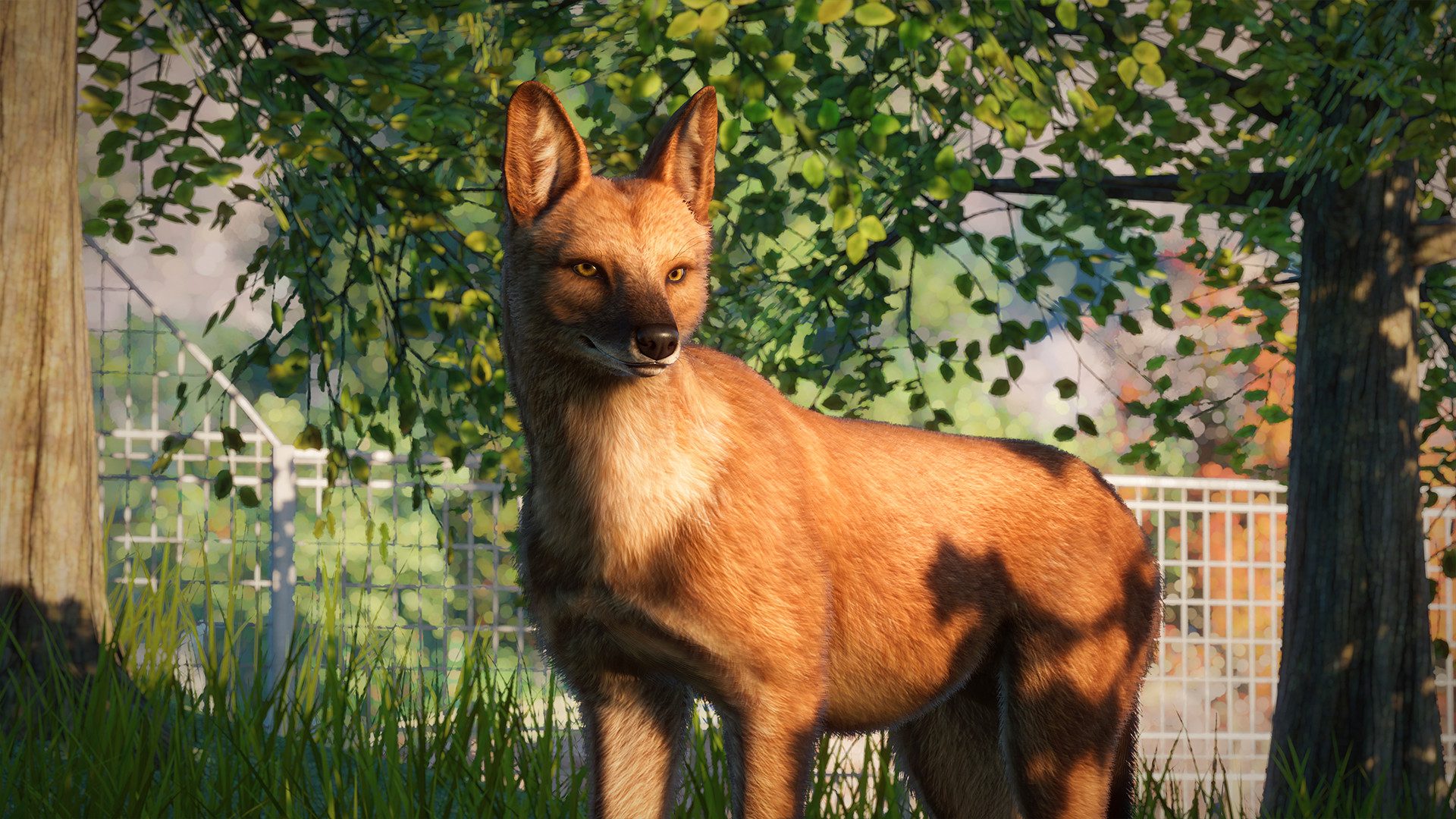 planet zoo southeast asia animal pack