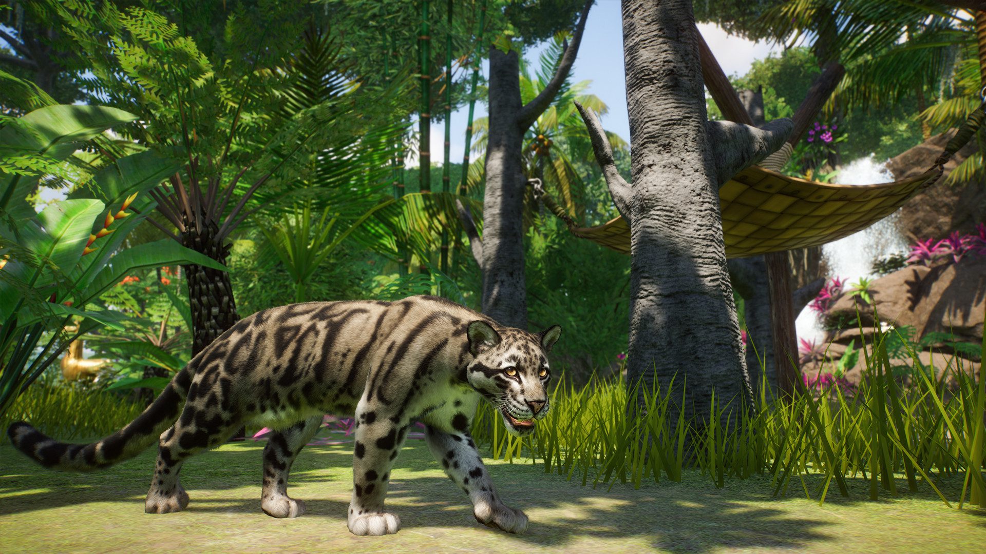 planet zoo southeast asia animal pack