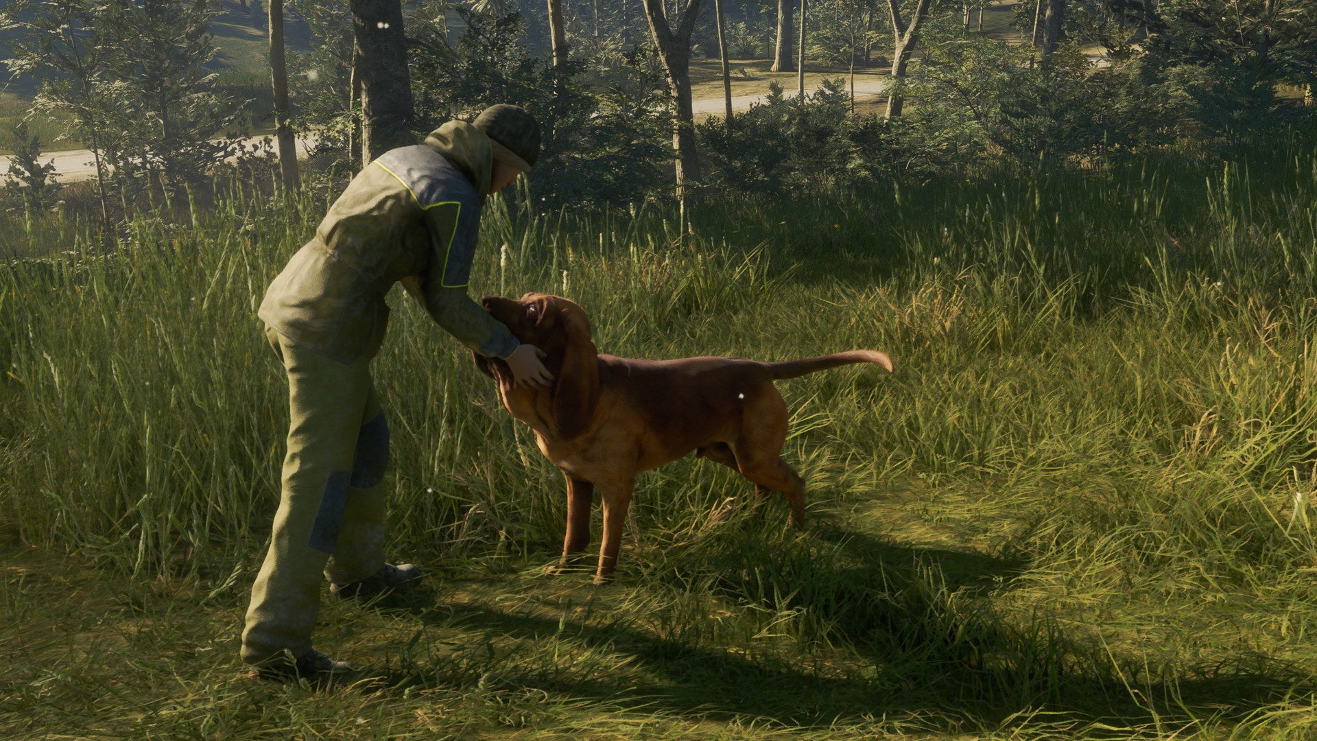 thehunter call of the wild - bloodhound